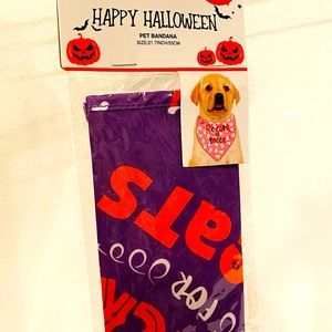 Dog Halloween Bandana/costume